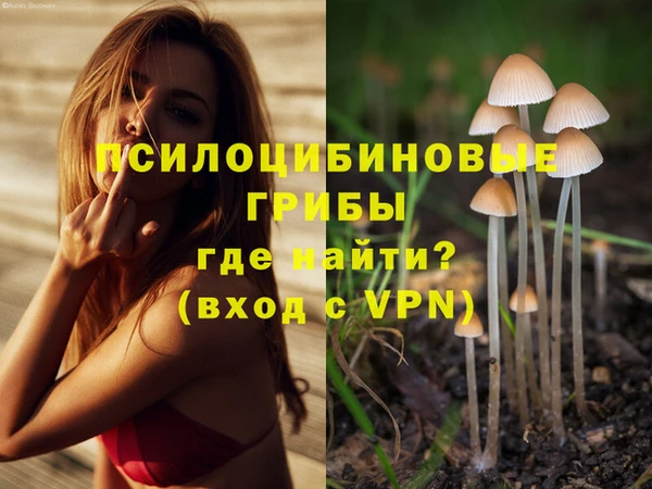 спайс Михайловск