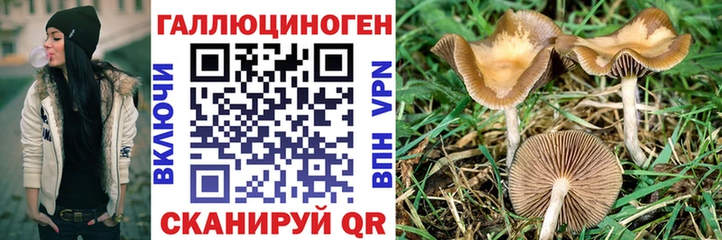 купить наркоту  Протвино  Галлюциногенные грибы Psilocybe 