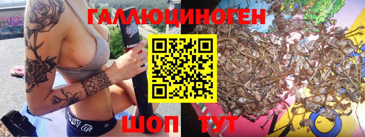 Псилоцибиновые грибы Psilocybe Протвино