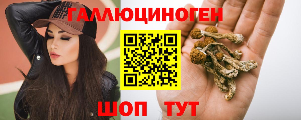 Галлюциногенные грибы GOLDEN TEACHER  Вход с VPN  Протвино 
